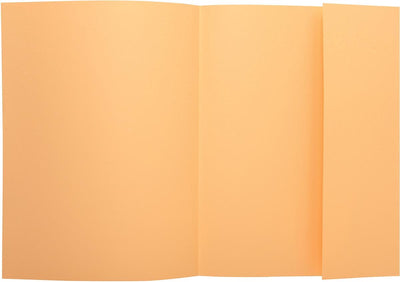 Dossier de fichiers Exacompta super 210 | paquet de 50 pièces | gemmes