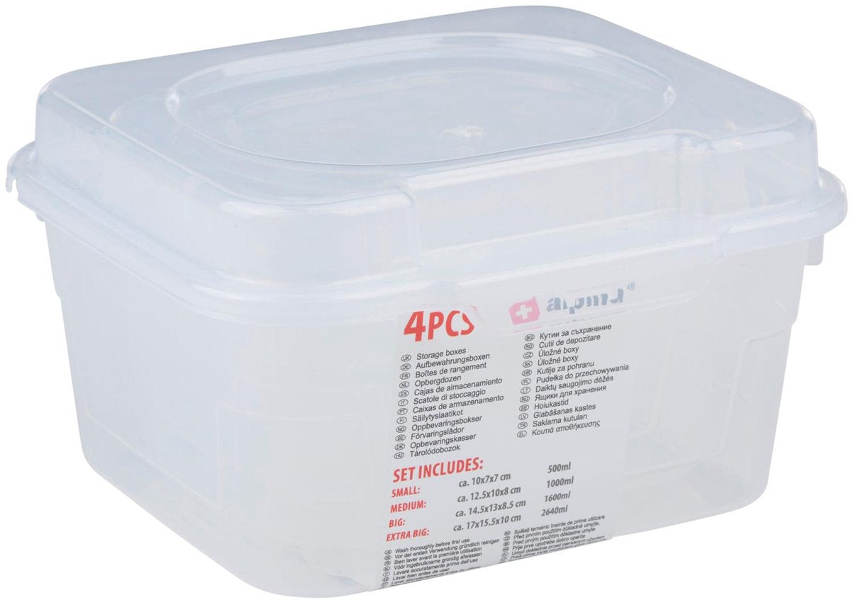 Boîtes de rangement Alpina 4 pièces