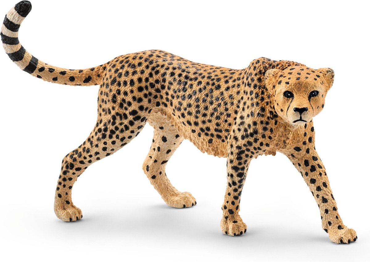 Schleich safari - léopard, femelle 14746