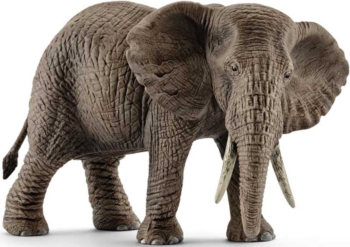 Schleich sauvage vie africain Elephant Femme 14761
