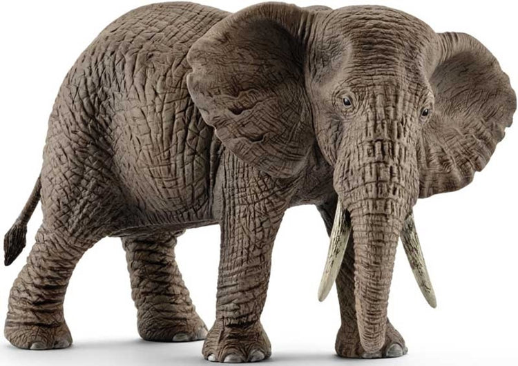 Schleich sauvage vie africain Elephant Femme 14761