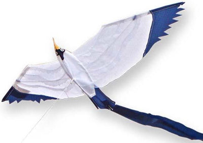 Didak plage petit cerf-volant mouette - 50x18 cm