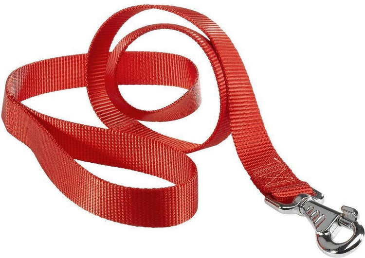 Laisse pour chien Ferplast club - nylon - rouge - largeur : 2,5 cm - longueur : 120 cm - convient aux grandes races de chiens