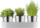 Jardin d'herbes gastronomiques WMF - pot d'herbes aromatiques - 3 pièces - acier inoxydable - design moderne