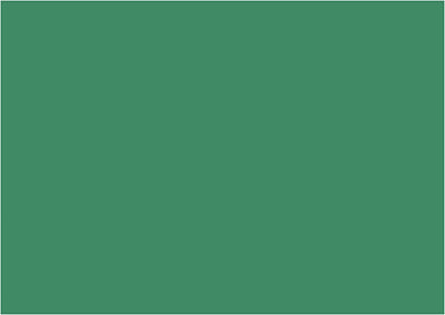 Compagnie de Creativ Eva Foam Sheets Dark Green A4, 10e.