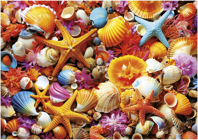 Educa - puzzle - collage de conchas 1000 pièces