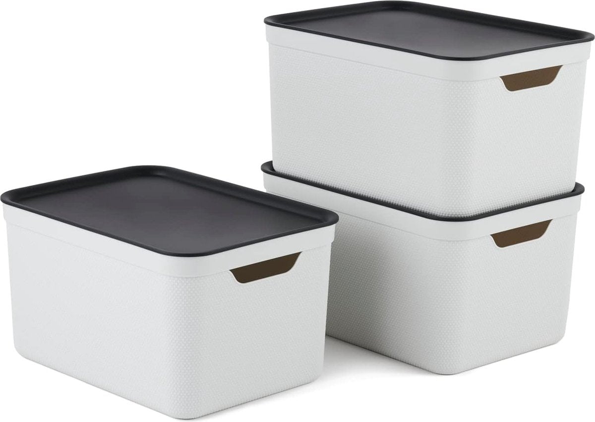 Rotho jive boîtes de rangement lot de 3 boîtes de rangement 16 l avec couvercle, plastique (pp recyclé), blanc anthracite, 3 x 16 l (37,5 x 27,8 x 29,8 cm)
