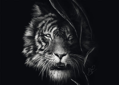 Schmidt puzzle tigre sauvage 1000 pièces puzzle adultes.