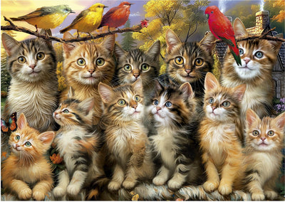 Puzzle Educa chats et oiseaux puzzle animalier 500 pièces.