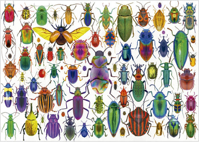 Educa puzzle coléoptères - Puzzle animaux 500 pièces adultes.