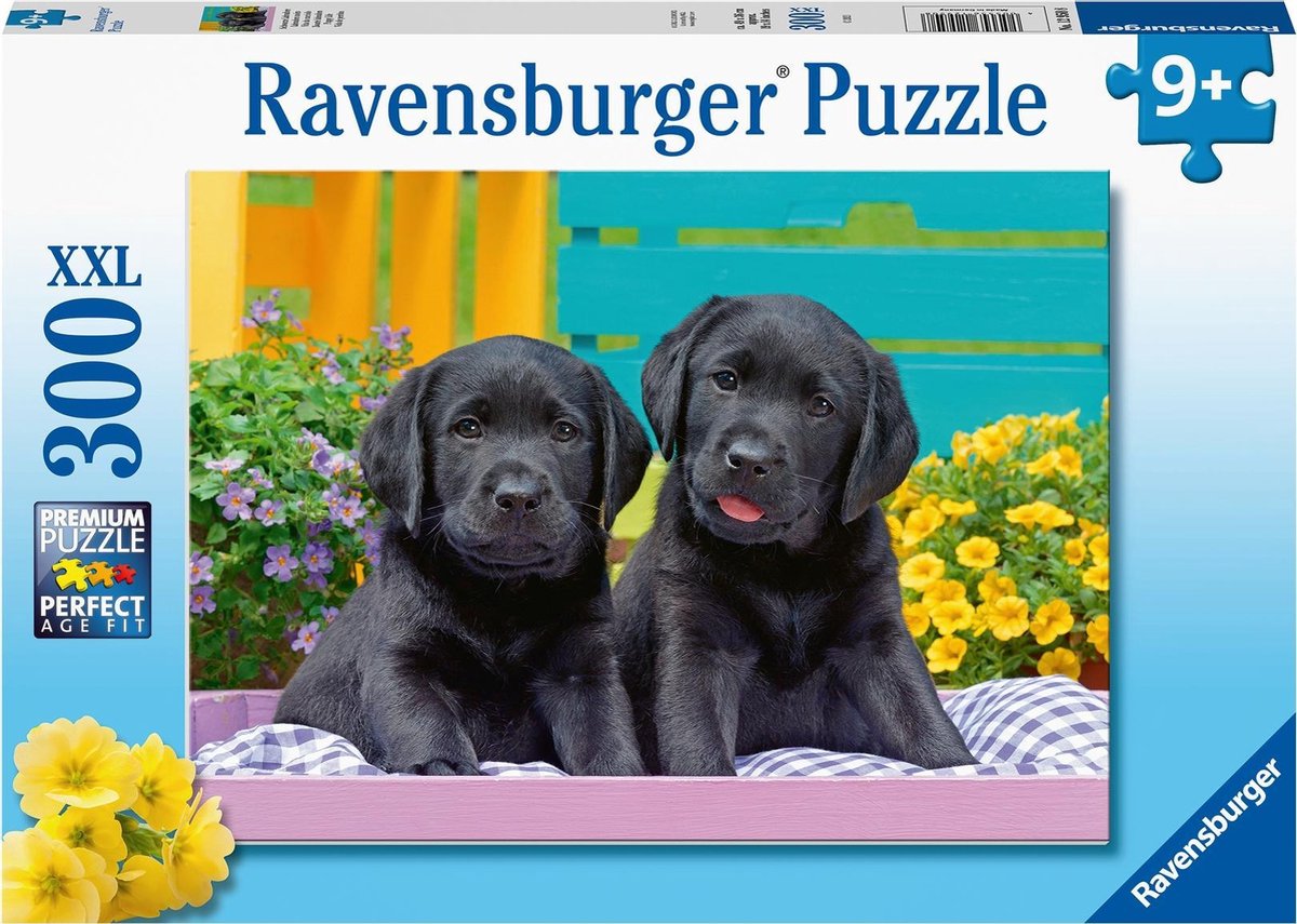 Ravensburger puzzle labradors noirs - puzzle - 300 pièces