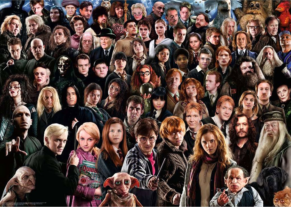 Ravensburger puzzle Harry Potter - puzzle - 1000 pièces