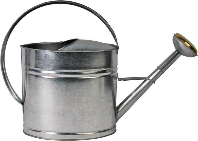 Outils Talen - arrosoir - acier galvanisé - avec tête de pulvérisation - 8 litres
