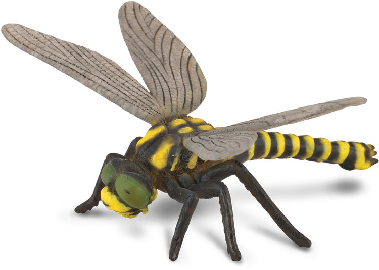 Figurine Collecta - libellule - (l) - insectes - peint à la main - miniature