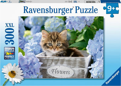 Ravensburger Puzzle de puzzle xxl petit chaton, 300e.
