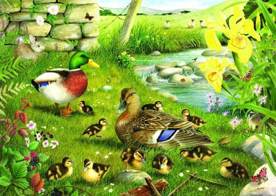 Maison des puzzles puzzle canards à arroser 500 pièces xl animaux.