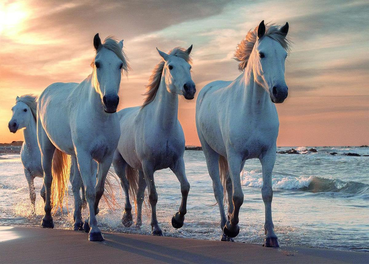Puzzle Rebo - 1000 mcx - chevaux