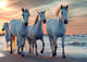 Puzzle Rebo - 1000 mcx - chevaux