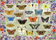 Gibsons - beaux papillons (par fiona osbaldstone) - 1000 pièces 68×49cm (l×h) - puzzle pour adultes