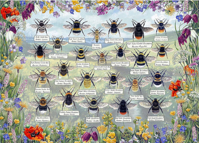 Gibsons - abeilles brillantes (par fiona osbaldstone) - 1000 pièces 68×49cm (l×h) - puzzle pour adultes
