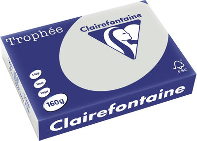 Clairefontaine trophée pastel, papier coloré, a4, 160 g, 250 feuilles, gris clair