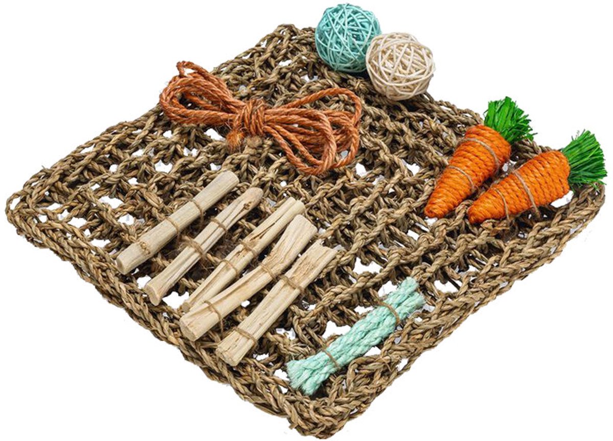Tapis de jeu pour rongeurs Beeztees