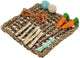 Tapis de jeu pour rongeurs Beeztees