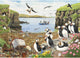 House of Puzzles Puzzle défilé de macareux 500 pièces xl