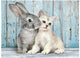 Clementoni - puzzle - 500 pièces - chat et lapin - puzzle pour enfants et adultes - collection de haute qualité