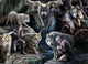 Puzzle Bluebird Puzzle Anne Stokes Wolf Collage 1500 pièces animaux.