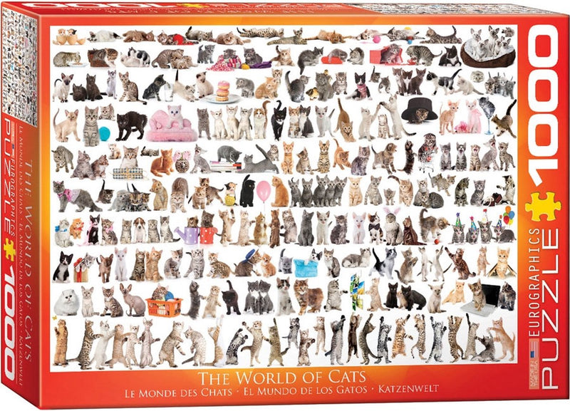 Eurographics - le monde des chats - 1000 pièces 68×48cm (l×h) - puzzle