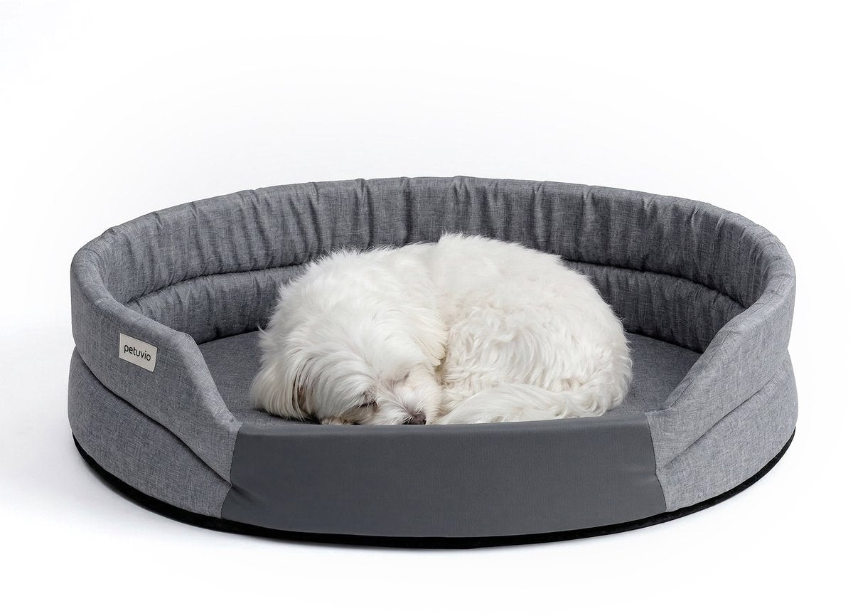 Peluvio arita – lit pour chien hydrofuge – lit pour chien résistant aux taches – taille s – fond antidérapant – léger, adapté aux voyages – entrée basse sans bords – mousse durable – faible odeur facile à nettoyer – confort pour chaque chien