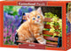 Chaton roux Castorland – puzzle – 500 pièces – finition satinée – ajustement parfait – qualité européenne