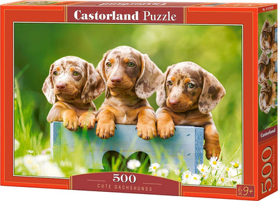 Castorland teckels mignons – puzzle – 500 pièces – finition satinée – ajustement parfait – qualité européenne