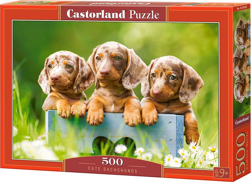Castorland teckels mignons – puzzle – 500 pièces – finition satinée – ajustement parfait – qualité européenne
