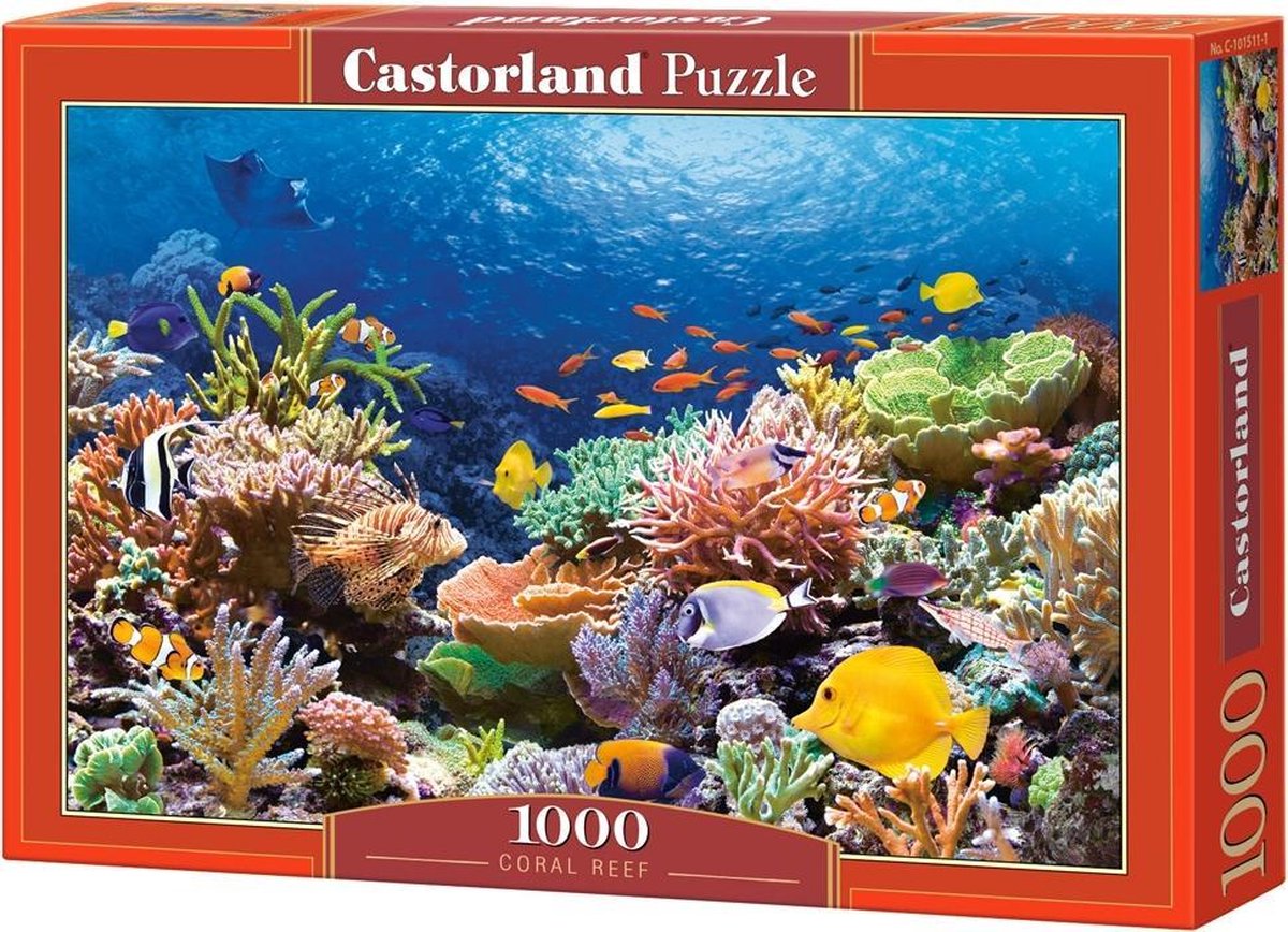 Selecta Castorland Puzzle Poissons des récifs coralliens, 1000 pcs.
