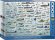 Eurographics - évolution des avions militaires - 2000 pièces 97×68cm (l×h) - puzzle