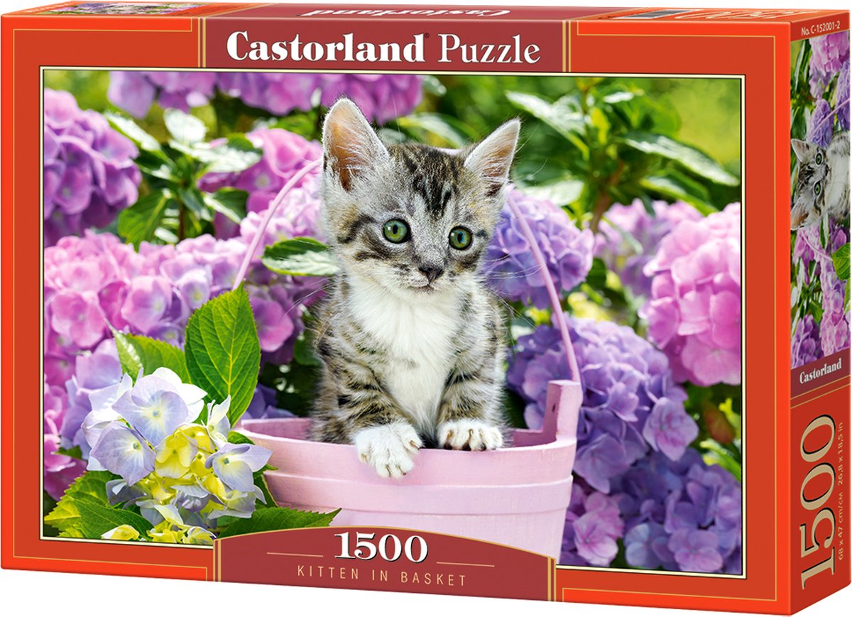Chaton Castorland dans son panier – puzzle – 1 500 pièces – finition satinée – ajustement parfait – qualité européenne