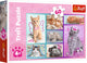 Puzzle Trefl - Chats mignons - 60 pièces - Carton coloré.