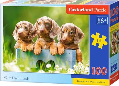 Castorland teckels mignons – puzzle – 100 pièces – chiens – qualité premium