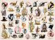Puzzle Chatons de yoga Eurographics (500 pièces)