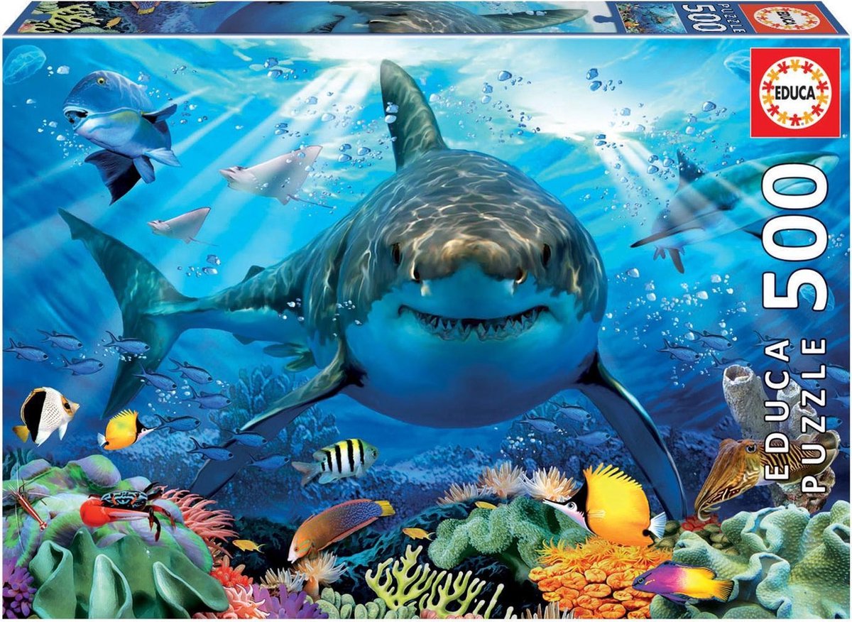 Educa - puzzle - 500 pièces - grand requin blanc