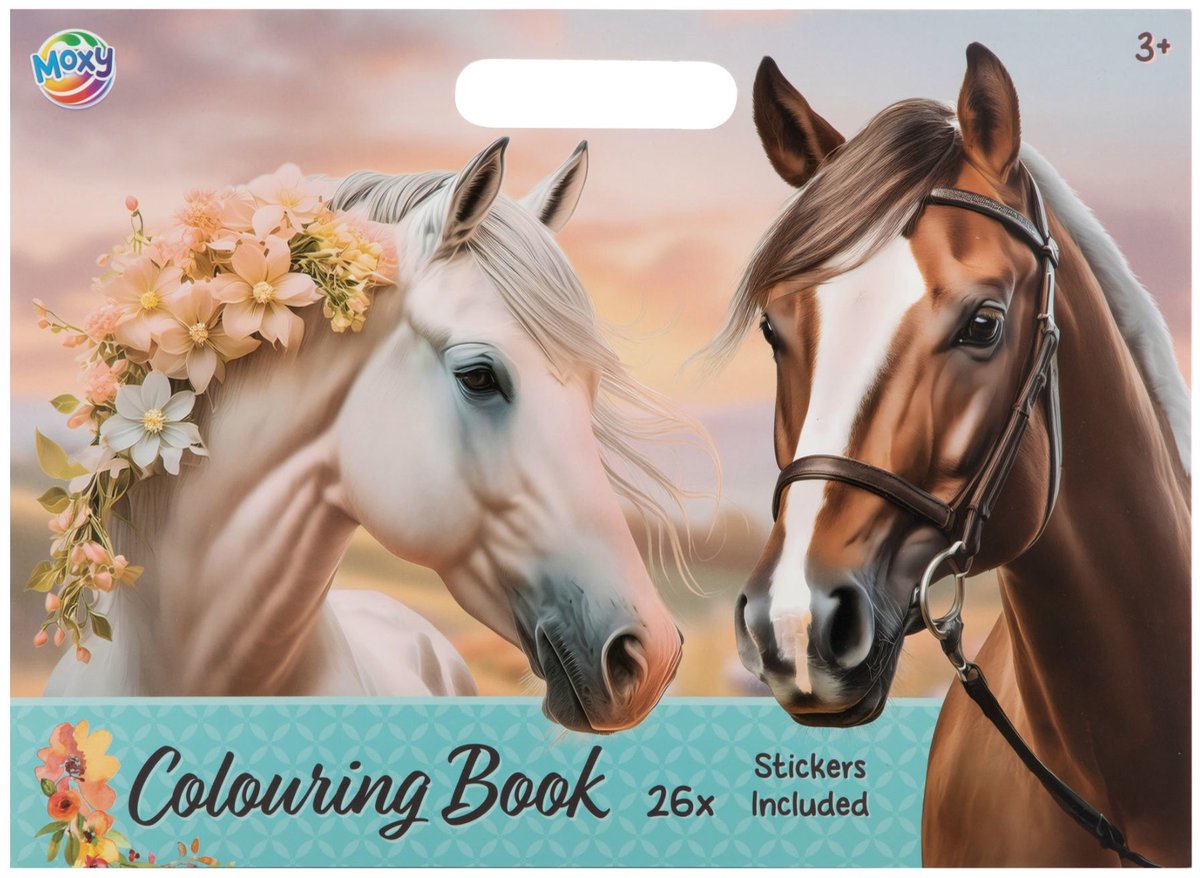 Livre de coloriage collection chevaux 25 pages 26x35,5 cm | 4 pièces