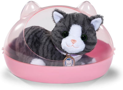 Bébé né mon biscuit de chat avec boîte