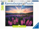 Ravensburger puzzle lupins - puzzle - 500 pièces