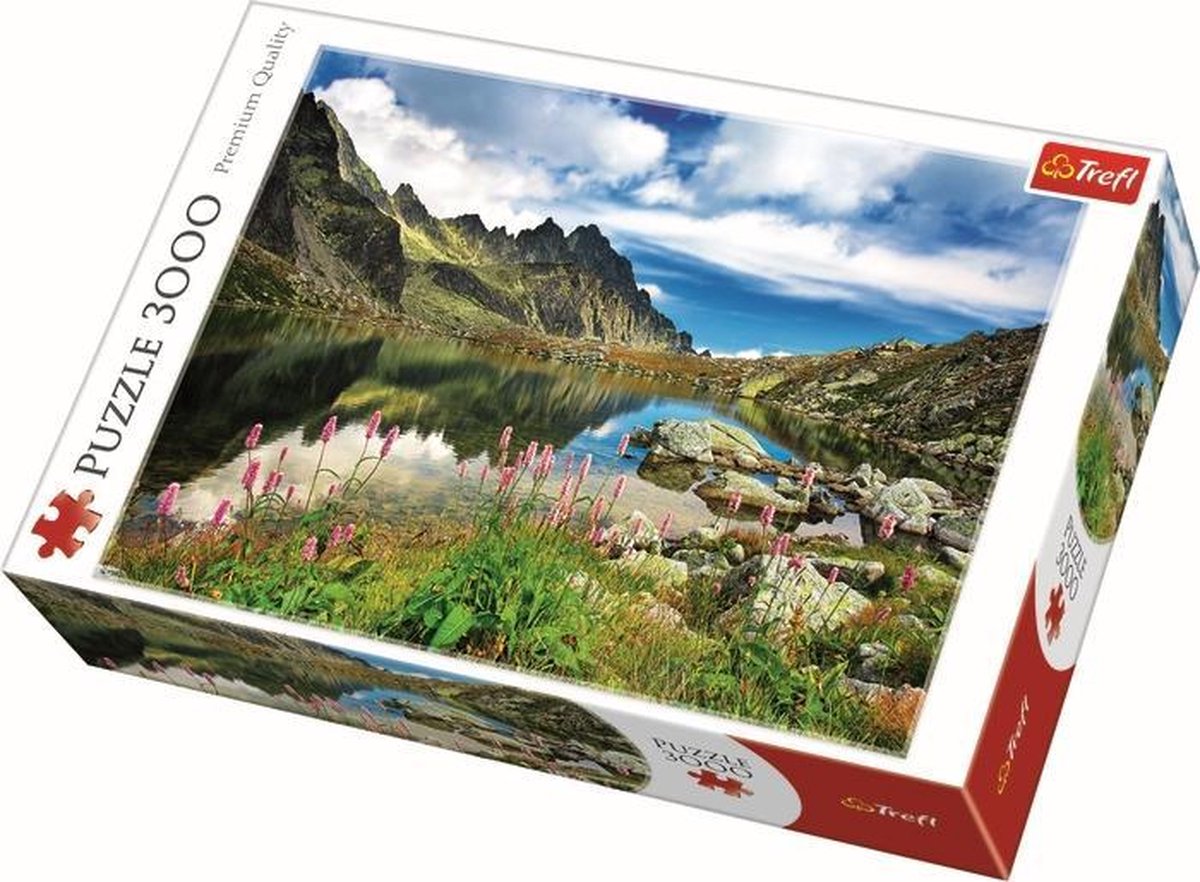Trefl 3000 - étang de Starolesnianski, Tatras, Slovaquie