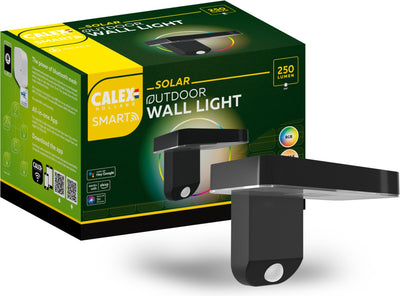 Lampe d'extérieur solaire intelligente Calex - Applique murale intelligente - RVB et blanc chaud - Noir
