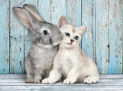 Clementoni - puzzle - 500 pièces - chaton et lapin - série de haute qualité