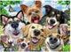 Ravensburger Jigsaw Puzzle Gerful Dogs, 1000st.