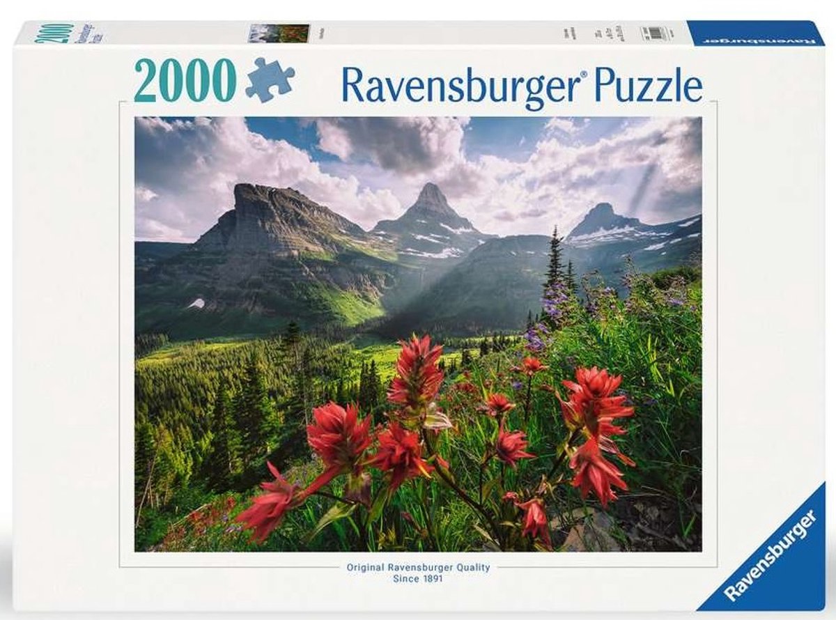 Ravensburger puzzle montagnes vierges 2000 pièces paysage.